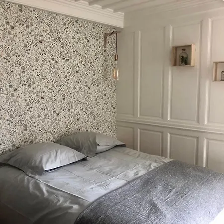 Apartment Le Garengeot - Wifi - Centre - Nm